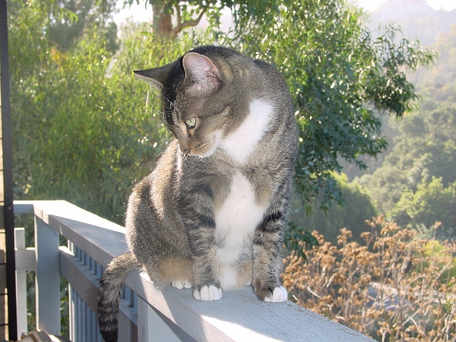 Sauvage likes the outdoors as well.