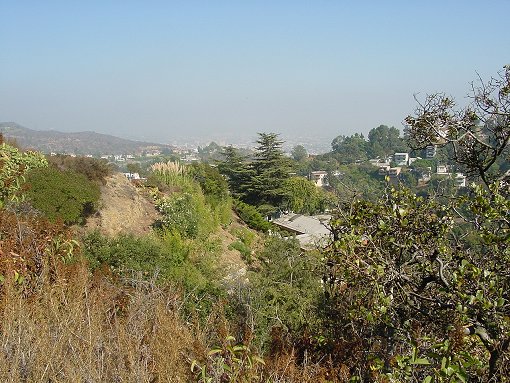 Laurel Canyon area of the Hollywood Hills